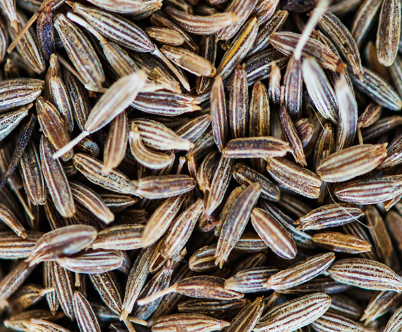 Jeera Seeds
