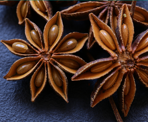Star Aniseed